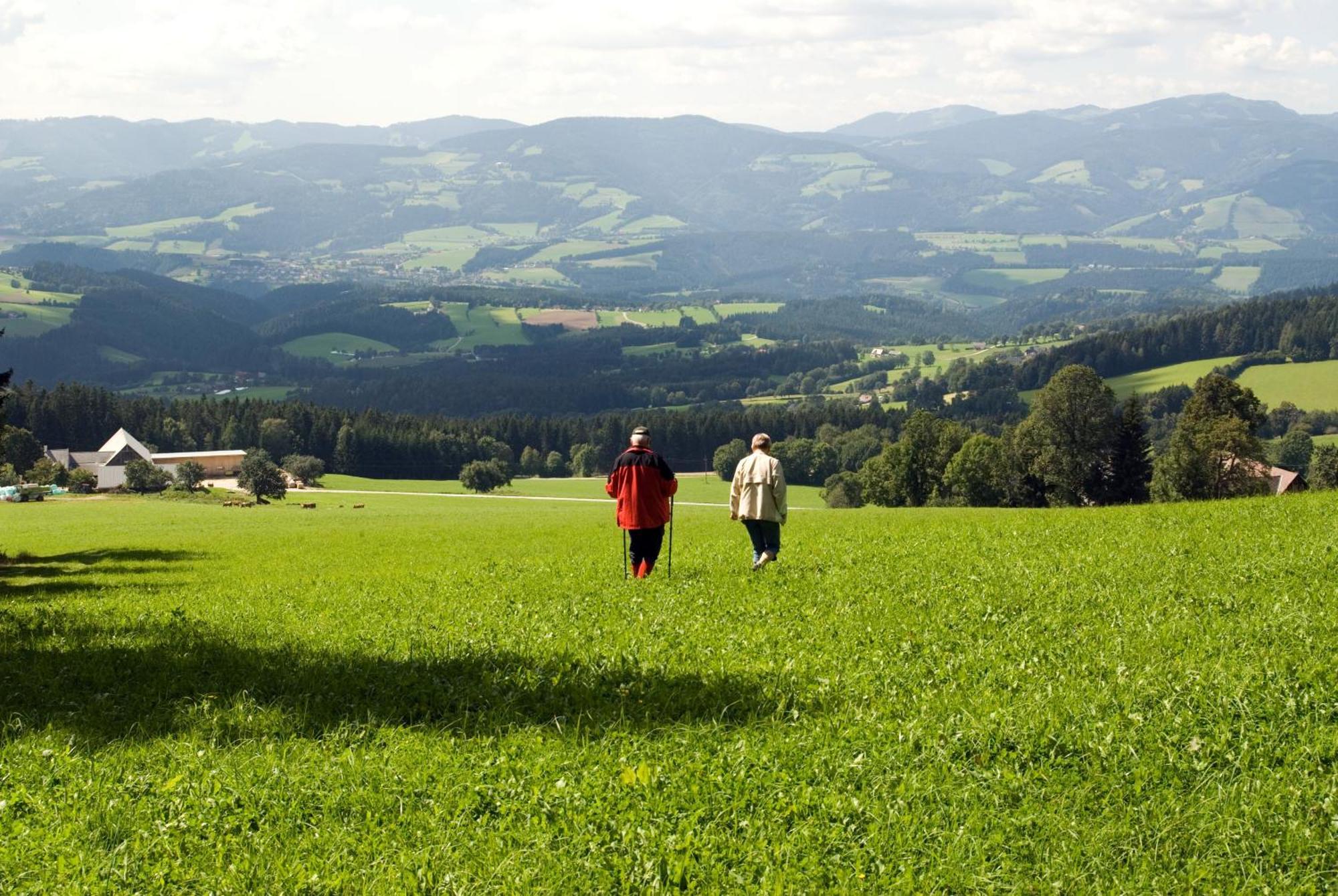 Wildwiesenhof Miesenbach  외부 사진