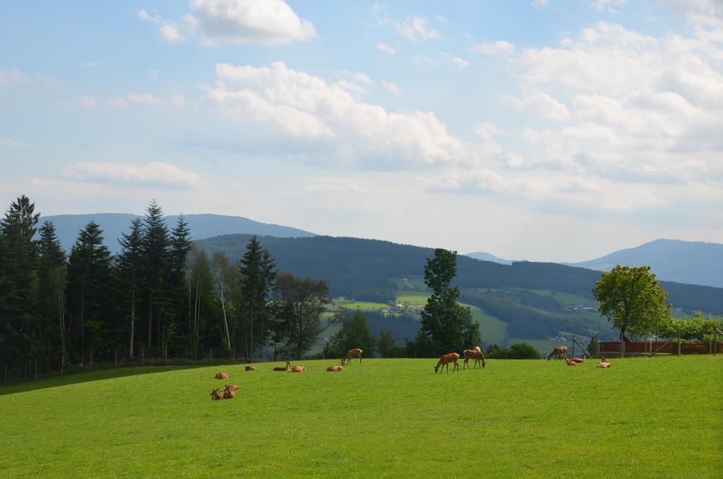 Wildwiesenhof Miesenbach  외부 사진
